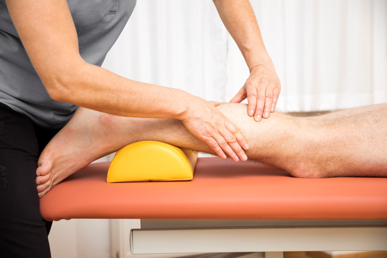 Fisioterapia pesaro